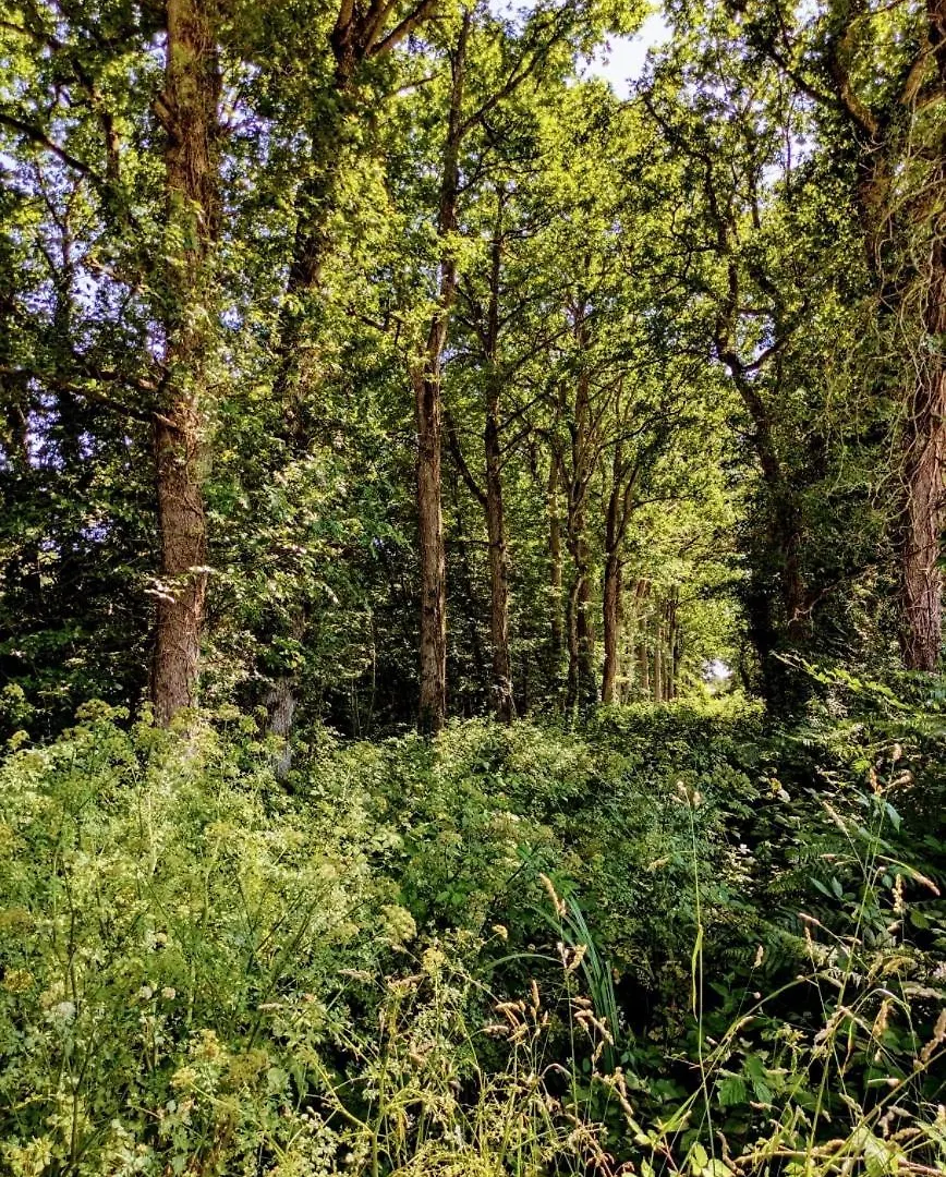 Domaine De Launay Blot Baguer-Morvan 게스트하우스